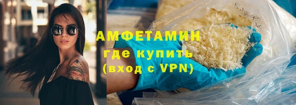 шишки Бородино