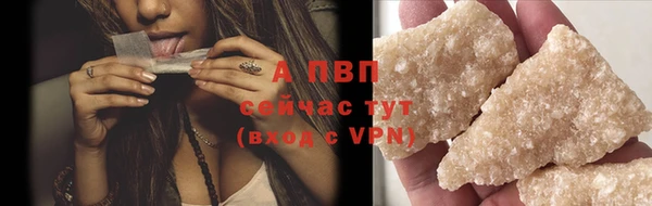 шишки Бородино