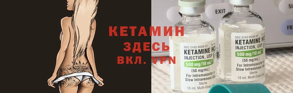 шишки Бородино