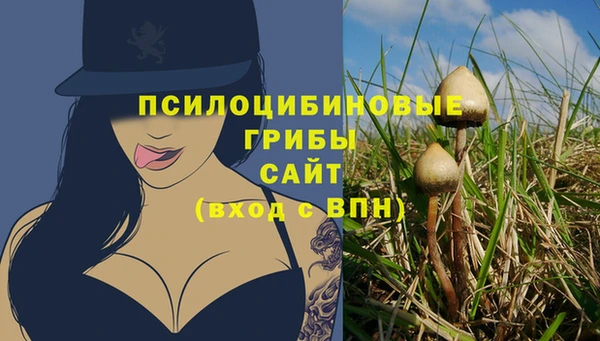 твердый Бугульма