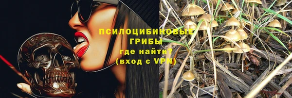 шишки Бородино