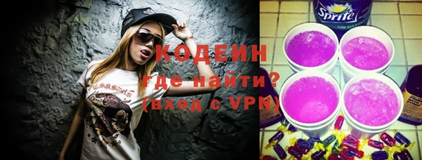 шишки Бородино