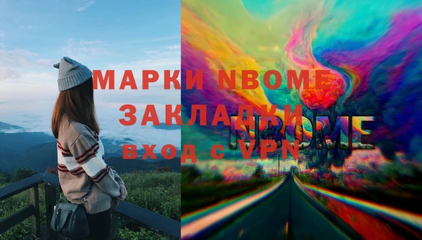 шишки Бородино