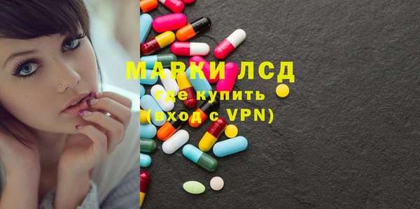 шишки Бородино