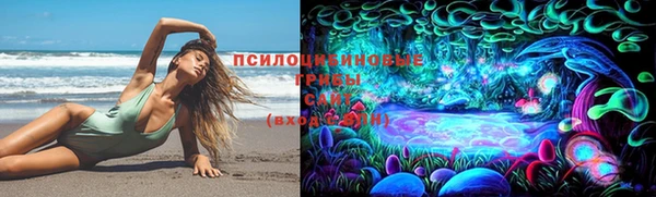 шишки Бородино