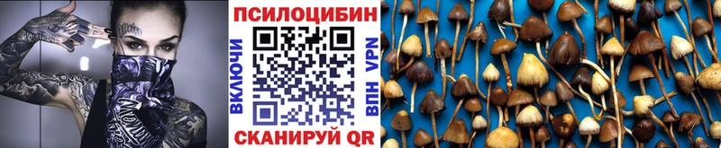 мориарти клад  Кодинск  Псилоцибиновые грибы MAGIC MUSHROOMS  ссылка на мегу зеркало 